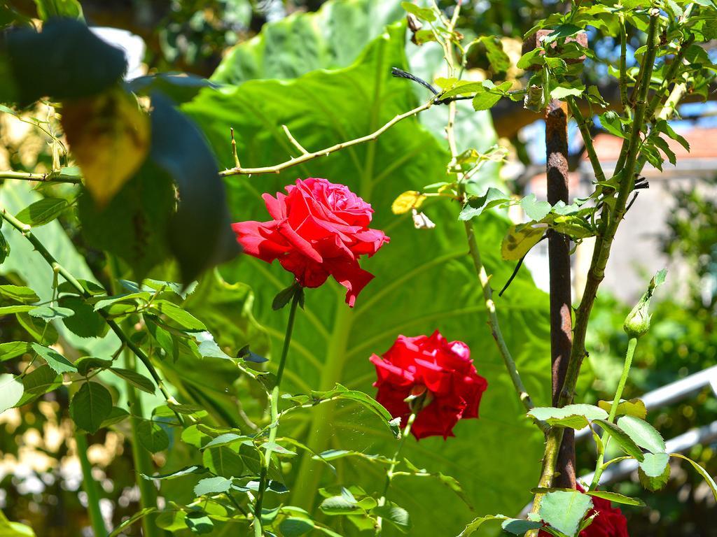 The Secret Garden Relais Ξενοδοχείο Πιάνο ντι Σορέντο Εξωτερικό φωτογραφία